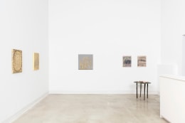 Spotlight: Nancy Lorenz