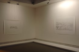 Toba Khedoori, Biennale di Venezia