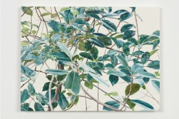 Toba Khedoori - leaves/branches