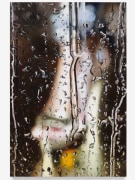 Marilyn Minter, Long Rain