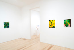 Andr&eacute; Ethier,&nbsp;Under Grape Leaves, installation view at Derek Eller Gallery, New York&nbsp;
