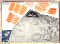 Untitled, 2007, color pencil, graphite and collage on paper