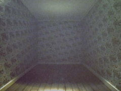 Adam Putnam, Untitled (Shadow Room III), 2005
