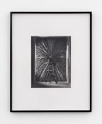 Dan Fischer Jay DeFeo with The Rose, 2025
