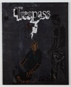 trespass(book cover), 2024
