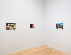 Installation view of Andr&eacute; Ethier, North Room: Canned Heat, July 16 - August 22, 2025