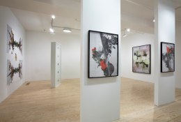 Adam Marnie, Locus Rubric, installation view at Derek Eller Gallery, New York&nbsp;