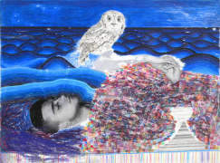 Dreamer I, 2006-2007&nbsp; &nbsp; &nbsp; &nbsp; &nbsp; &nbsp; &nbsp; &nbsp; &nbsp; &nbsp; &nbsp; &nbsp;, color pencil, graphite, and collage on paper