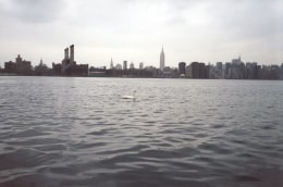 NYC Swan, 2002, c-print&nbsp;