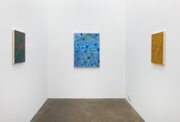 Installation view of EJ Hauser, Grow Room, February 8 - March 9, 2024