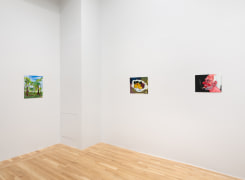 Installation view of Andr&eacute; Ethier, North Room: Canned Heat, July 16 - August 22, 2025