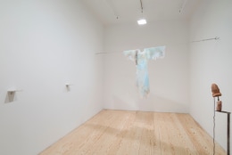 A Rare Earth Magnet, installation view at Derek Eller Gallery, New York