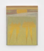 Lachlan Hinwood Moonlit Creatures, 2024