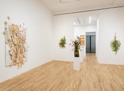 Installation view of David Kennedy Cutler, Second Nature, February 28 - April 12, 2025