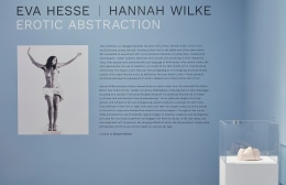 Installation View of Hesse / Wilke