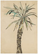 Lucian Freud, Palm Tree, 1942