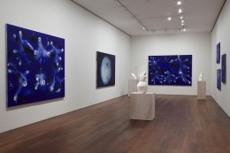 Installation view of Miquel Barcel&oacute; at Acquavella Galleries from October 27 - December 9, 2016.