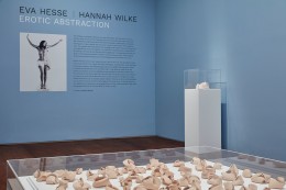 Installation view of Hesse / Wilke