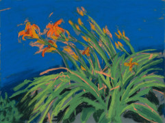 Daylilies, 2021 Pastel on paper 11 &frac12; x 15 &frac12; inches