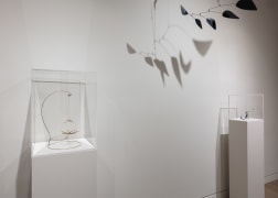 Installation view of Calder: Composing Motion, Photo by Silvia Ros