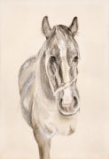 Lucian Freud, A Filly, 1969