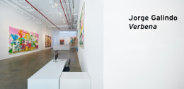 Installation view:&nbsp;Jorge Galindo,&nbsp;Verbena, Artworks &copy; Jorge Galindo; Photo by Argenis Apolinario; Courtesy the artist and Vito Schnabel Gallery