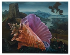 Painting of a shell by Ariana Papademetropoulos