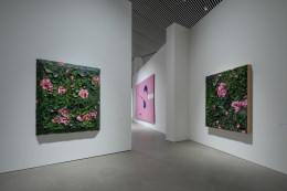 Installation view, Julian Schnabel: Aktion Paintings 1985-2017