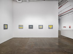 Installation of paintings by Robert Storr