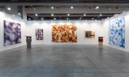 Installation view, Zona Maco, Mexico City, Vito Schnabel Gallery, St. Moritz, 2019
