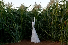 Installation view, Terence Koh,&nbsp;Children of the Corn​, Long Island, 2010
