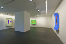 Installation view, Ron Gorchov,&nbsp;Concord,&nbsp;Vito Schnabel Gallery, St. Moritz, 2016