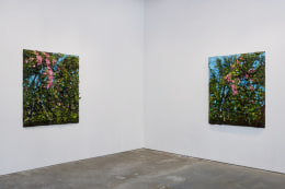 An installation view of Jorge Galindo and Julian Schnabel's exhibition Flower Paintings