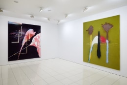Installation view, Julian Schnabel:&nbsp;Predominately Natural Forms, Mexico, 2022;&nbsp; Artworks&nbsp;&copy; Julian Schnabel; Photo by Argenis Apolinario; Courtesy the artist and Vito Schnabel Gallery