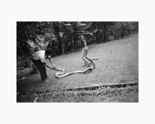 Anaconda, Leticia, Colombia, 1981