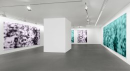 Installation view, Jeff Elrod,&nbsp;Figment, Vito Schnabel Gallery, St. Moritz, 2016