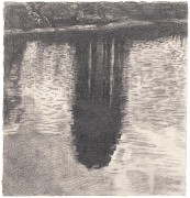 Pond Reflection, 2015