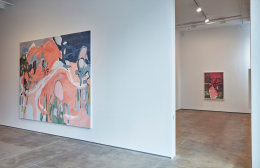 Installation view of&nbsp;Janaina Tsch&auml;pe: HumidGray and ShadowLake&nbsp;at Sean Kelly, New York