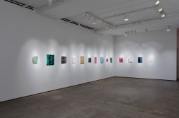 Installation view of Sam Moyer: Naked as the Glass at Sean Kelly, New York