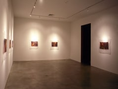 Laurie Anderson Sean Kelly Gallery