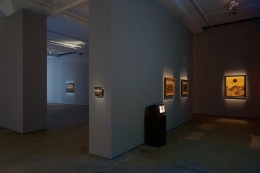 Laurent Grasso Sean Kelly Gallery