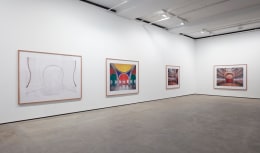 Installation view of&nbsp;Candida H&ouml;fer - In Mexico&nbsp;at Sean Kelly, New York