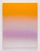 Mika Tajima Art d&rsquo;Ameublement (Islote Enderby), 2018, Spray enamel, thermoformed acrylic