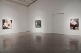 Installation view of &quot;Liza Ryan: Rare Bloom&quot; at Kayne Griffin Corcoran, Los Angeles
