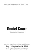 Daniel Knorr