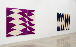 Installation view of &quot;Sarah Crowner: Landscape,&quot; 2021, at Kayne Griffin, Los Angeles