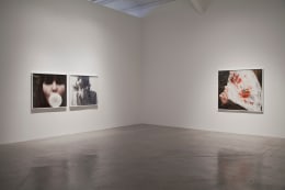 Installation view of &quot;Liza Ryan: Rare Bloom&quot; at Kayne Griffin Corcoran, Los Angeles