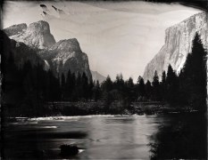Valley View, Yosemite, Unique Collodion Wet Plate: please contact the gallery for details