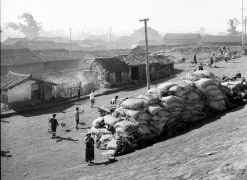 China, workers with burlap sacks, 1957