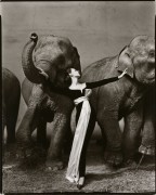 Richard Avedon, Dovima with Elephants, Evening Dress by Dior, Cirque d&#039;Hiver, Paris, August, 1955